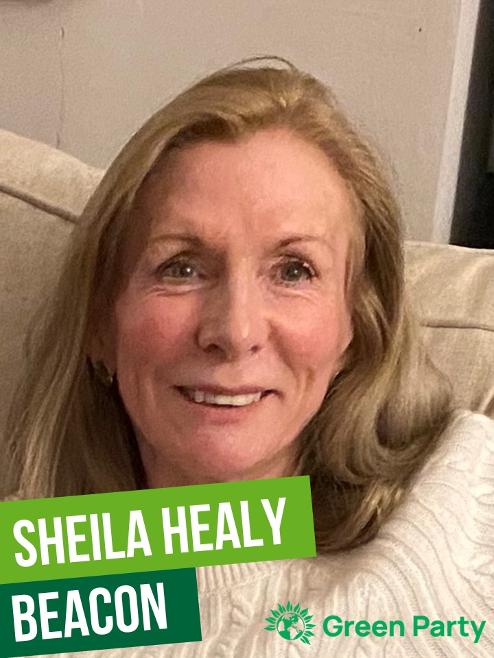 Sheila Healy is a Green Party candidate for Beacon in the Dorset Council local elections on May 2nd